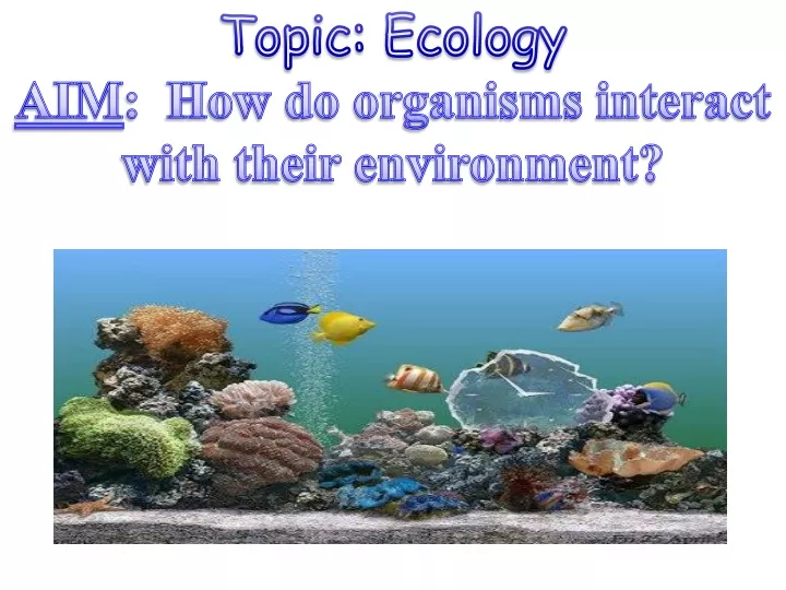 Cellular Adaptation: How Organisms Respond to Environmental Changes